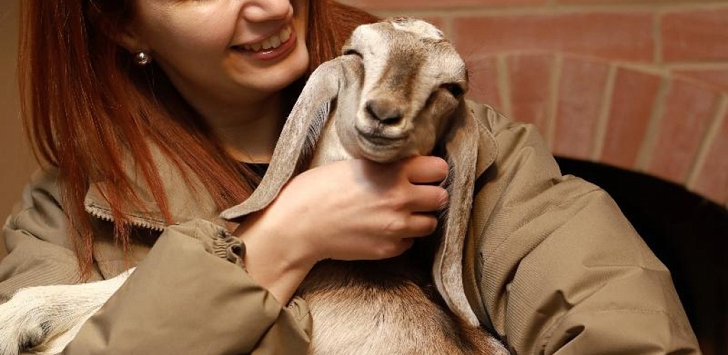 Фермеры Челябинской области запускают туристическое направление с господдержкой